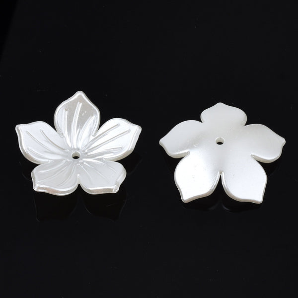 Creamy white flowers with 5-petals and relief