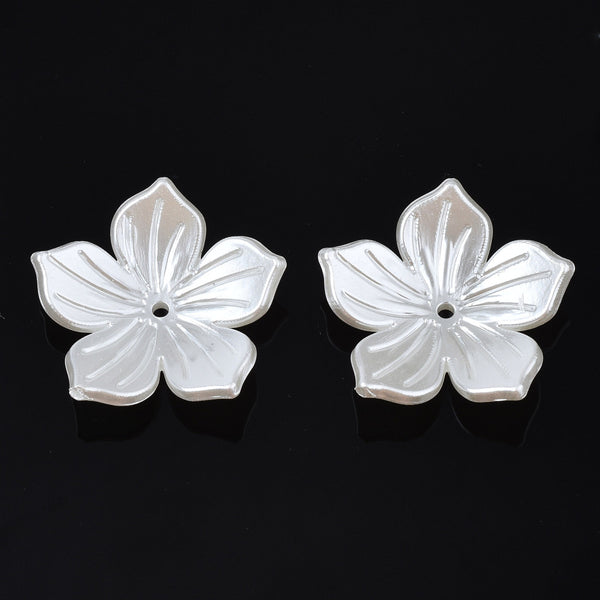 Creamy white flowers with 5-petals and relief